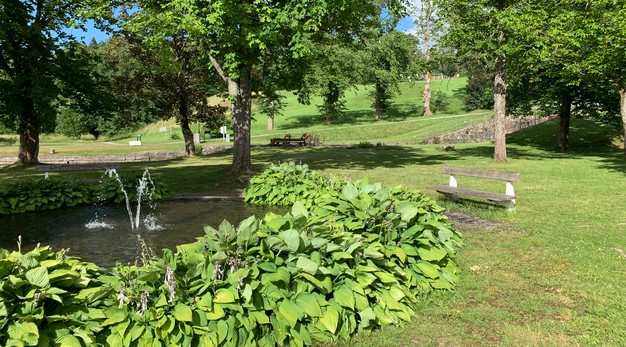 Bilden är ett fotografi över en fontän och en bänk. Fontänen är rund och runt hela är det buskar med små rosavita blommor. Bilden är tagen på sommaren och det är riktigt soligt. I bakgrunden syns flera stora träd och en backe.  