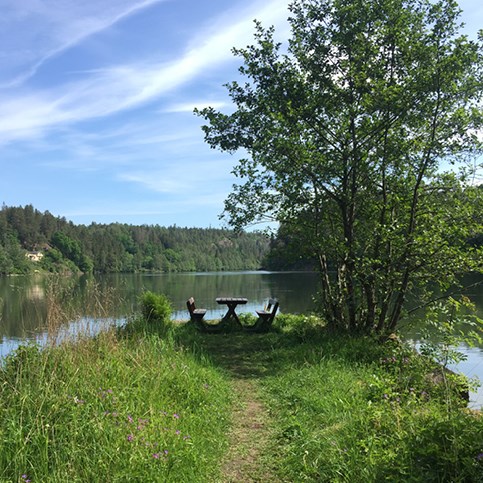 Bilden är ett fotografi av ett parkbord som står längst ut på en udde. Parkbordet är centrerat i bild och det är en stig fram till bordet. Längst stigen är det nästan som en äng med blommor. På parkbordets högra sidan står ett stort träd. I bakgrunden syns vatten som är spegelblankt.  