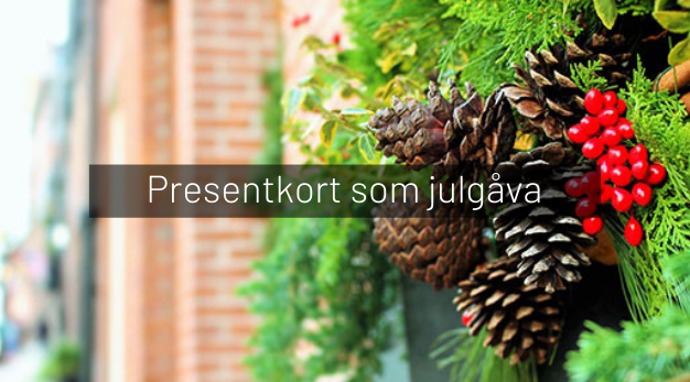 Bilden visar en julkrans med kottar