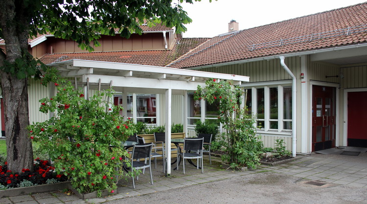 Ett träds står bredvid en blommande buske. Bredvid står utebord och stolar uppställda intill en husbyggnad.