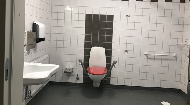 Stort badrum med handikappanpassad toalett. Ett handfat syns i ena delen av rummet och en duschyta syns i andra delen av rummet.