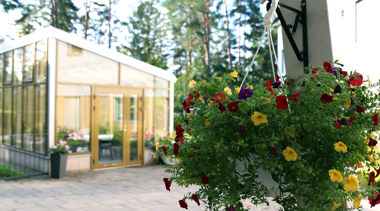 Blomkruka och ett inglasat uterum på en gård.