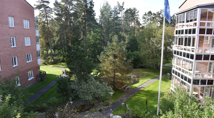 Utsikt från en balkong med vy över skog och promenadstråk.