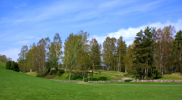 En backe med gräs