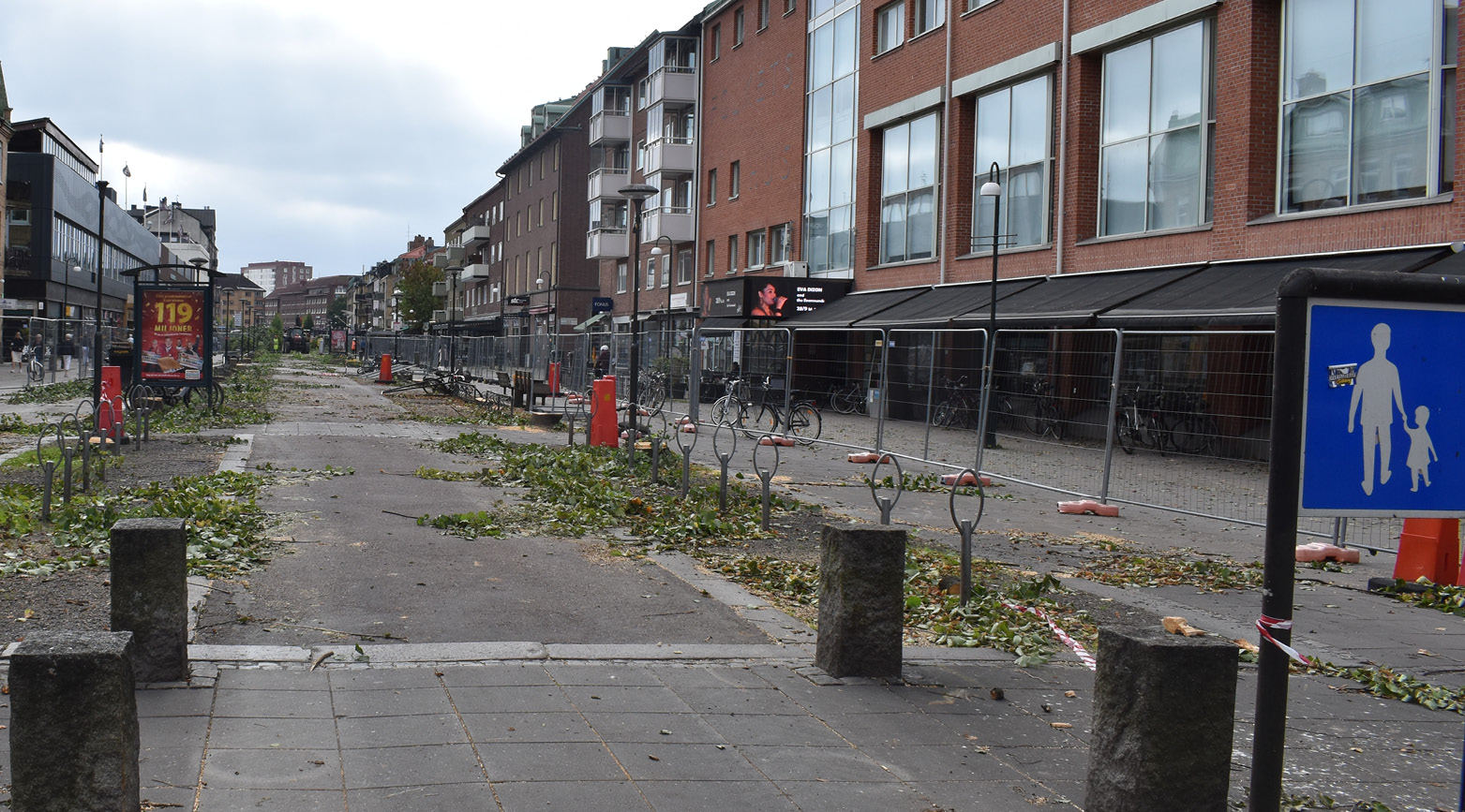 Kungsgatan efter nedtagning av allén i Trollhättan