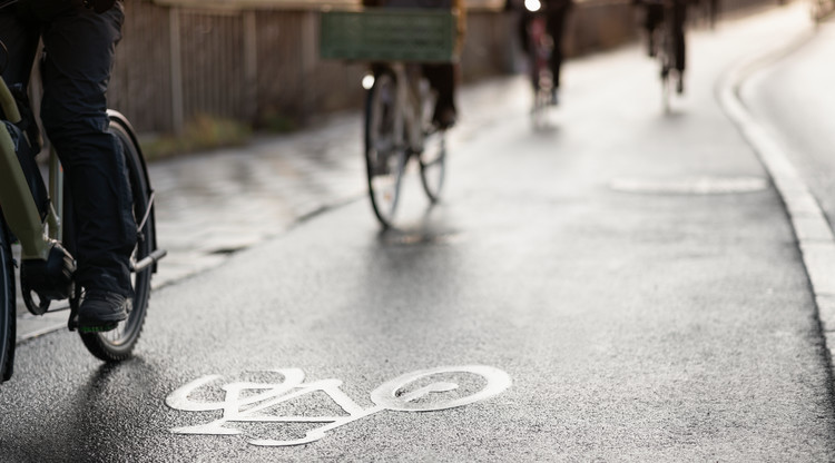 Asfalterad cykelväg med flera cyklister på