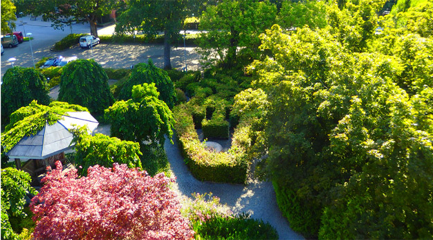 Bilden föreställer parken vid Insikten. Bilden är tagen i fågelperspektiv. Till höger i bild syns en stor grön trädkrona. Till vänster i bild syns ett tak på ett lusthus och en stor trädkrona med rosa löv. 