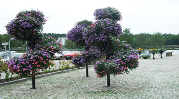 Kanaltorget med blomsterdekoration