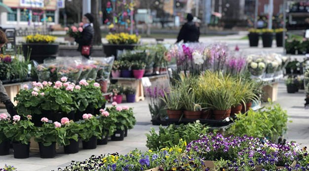 Blomförsäljning på Drottningtorget i Trollhättan