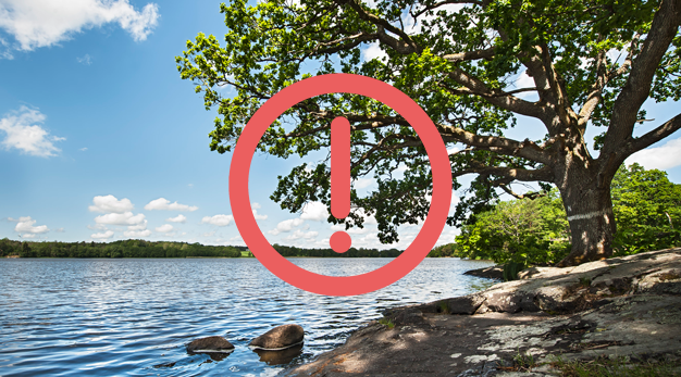 Sjö och del av strand