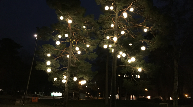 Stora vita klot hänger i två tallar och sprider sitt sken över parken.