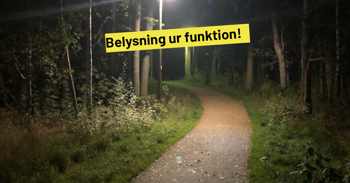Motionsspår genom skogen. Det är mörkt ute.