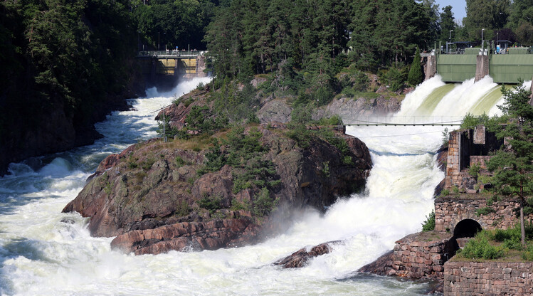 Fallpåsläpp