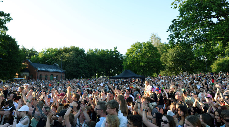 Publik under konsert