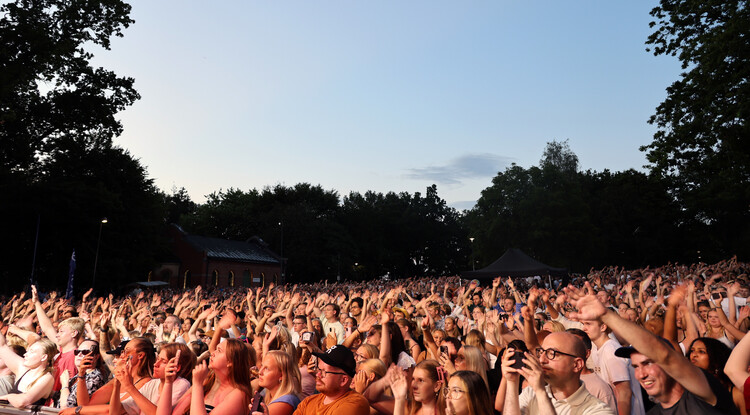 Publik i park under konsert på kvällstid