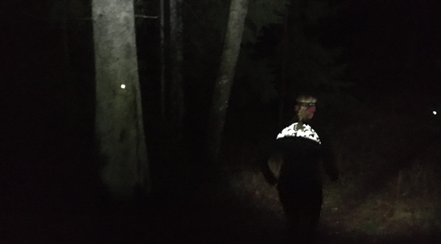 Det är mörkt och en person springer i en skog med pannlampa. På ett träd sitter en reflex.