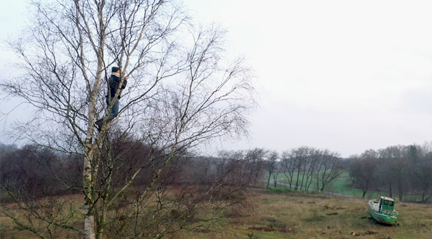 En man har klättrat upp i ett träd och tittar ut över ett höstlandskap.