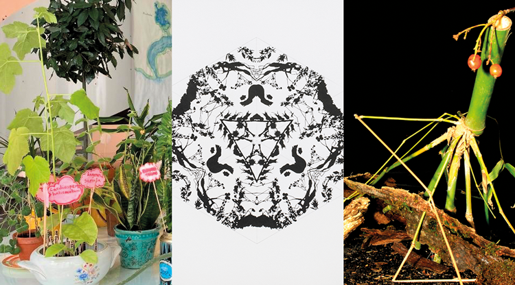 Kollage av tre konstnärers bilder som alla är inspirerande av växtlighet