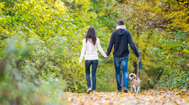 Par går hand i hand i en skog med en hund.