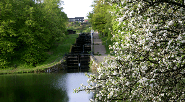 Blommande träd vid slussar