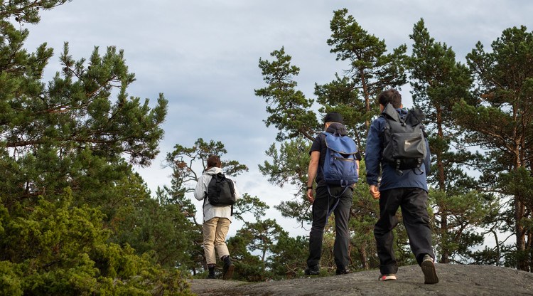 Tre ungdomar ute på vandring i naturen.