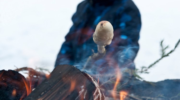 Barn grillar marshmallow utomhus.