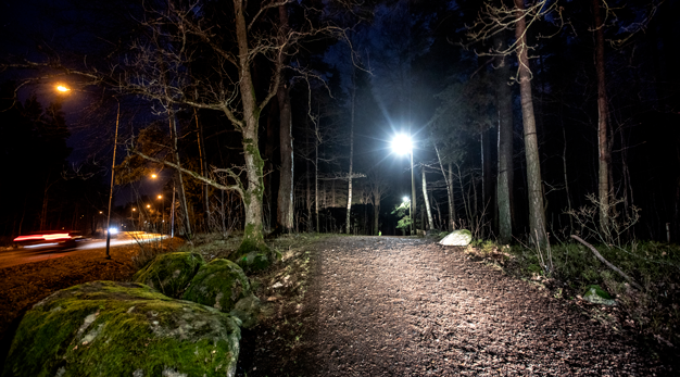 Ett motionsspår i skogen. Det är mörkt och lamporna är tända. 