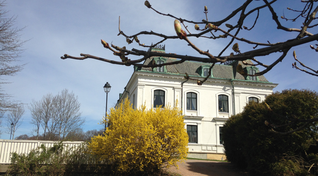 Villa Elfhög, en stor vit stenbyggnad med ett träd i förgrunden