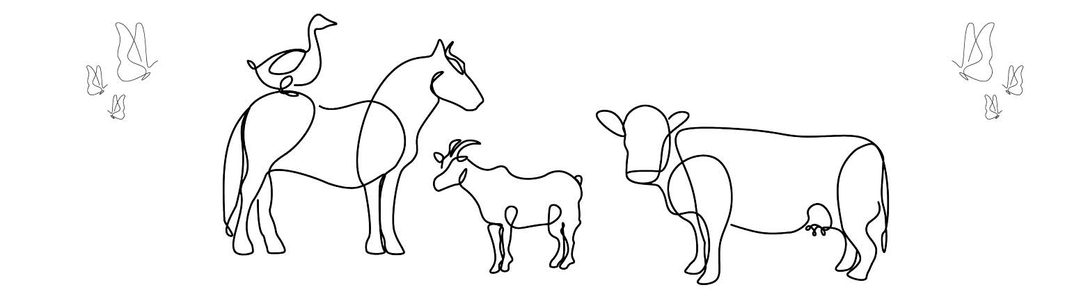 Skissade illustrationer av gårdsdjur