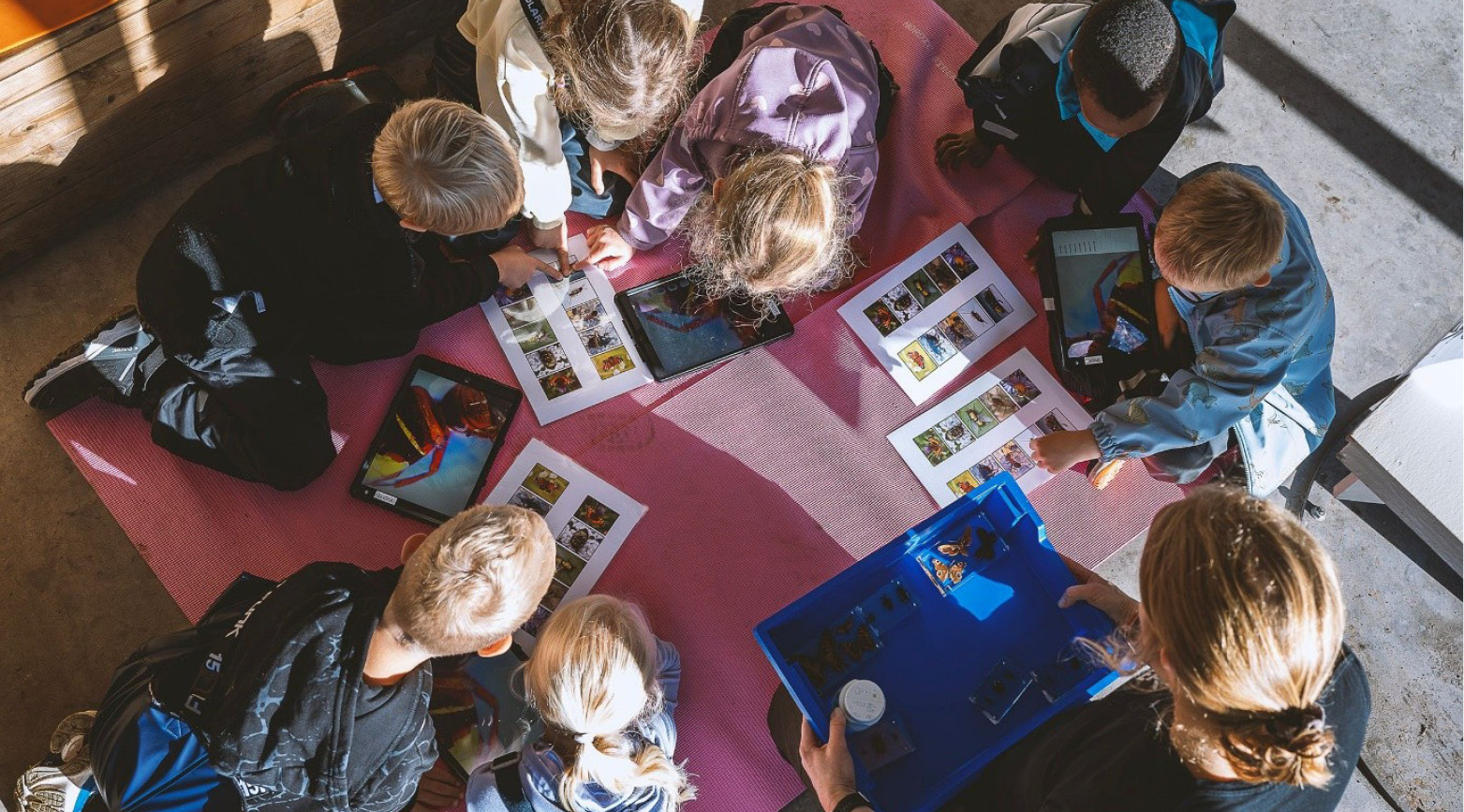 Barn som tittar på bilder på backen med en pedagog vid sidan om. 