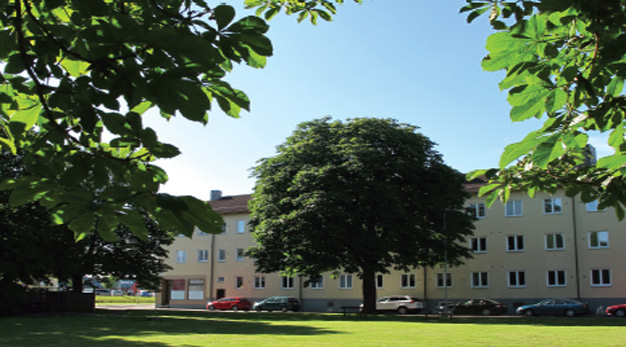 Stort och mäktigt lövträd framför flerbyggnadshus. 