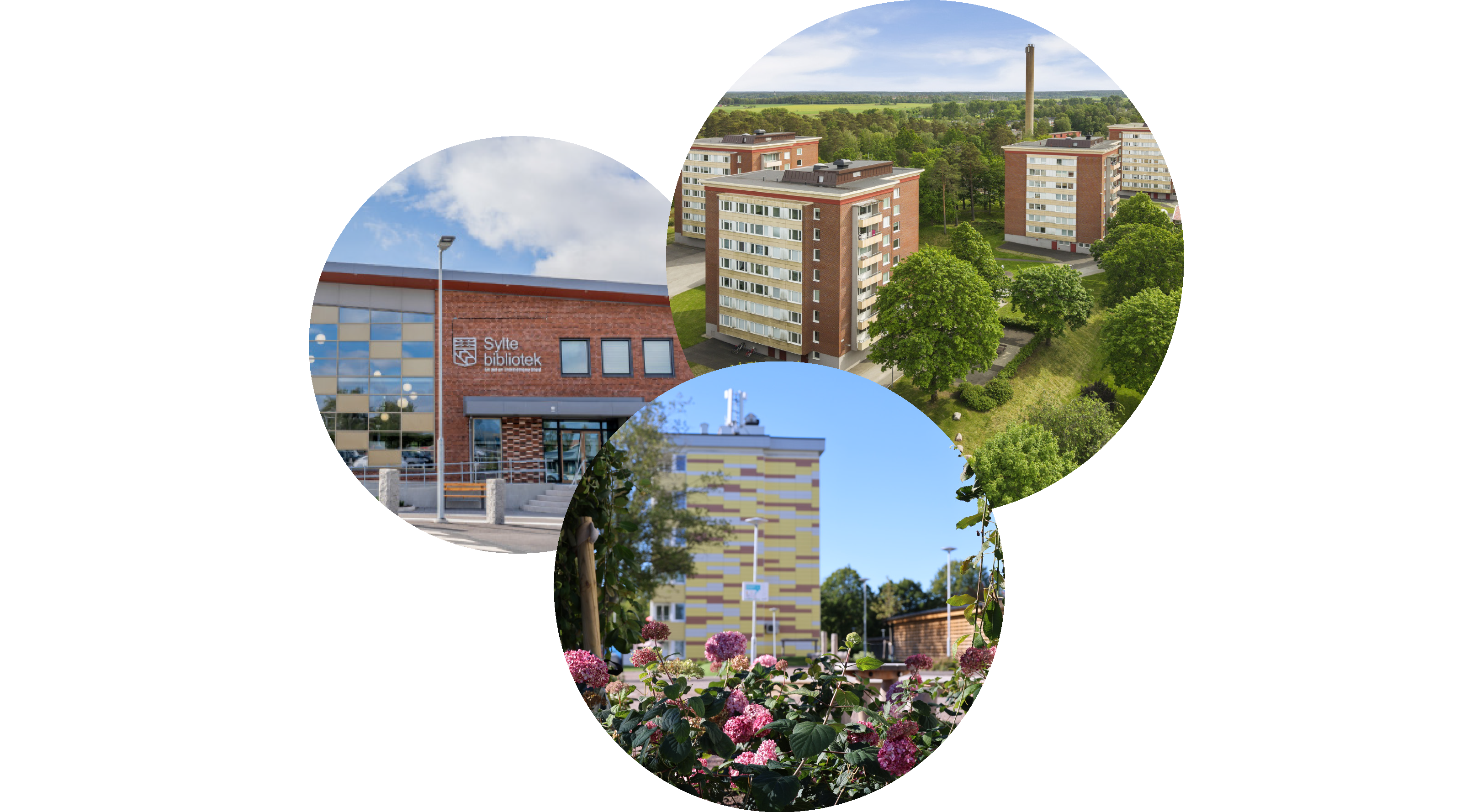 Bilder som visar olika byggnader, bibliotek och lägenhetshus och växtlighet