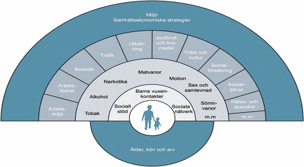 Schematisk bild över hälsans bestämningsfaktorer