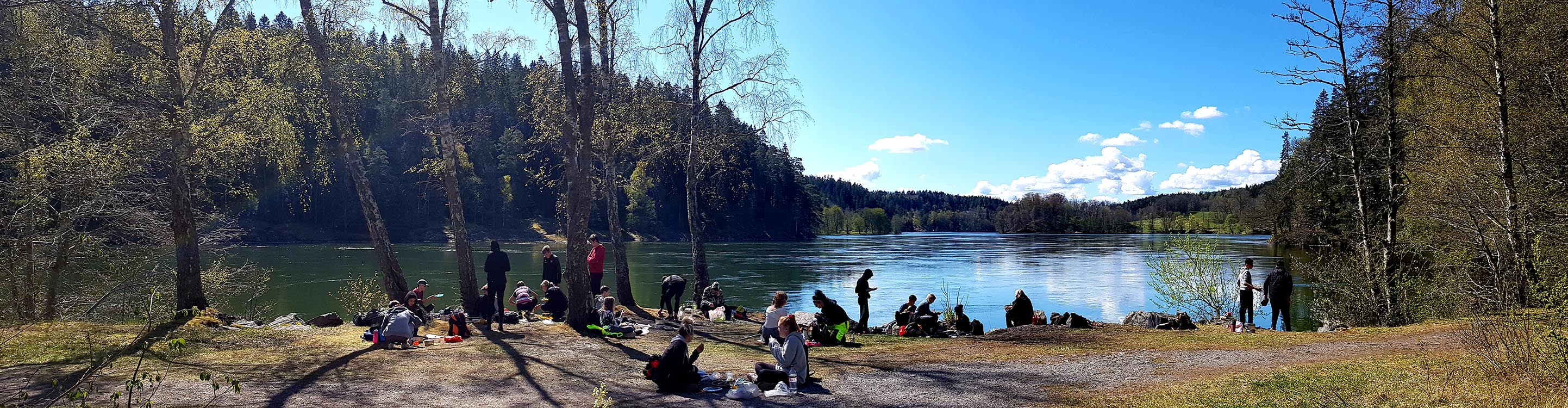 Skogshöjden Header