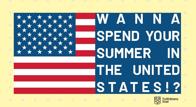 Bild på USAs flagga med texten Wanna spend your summer in the usa