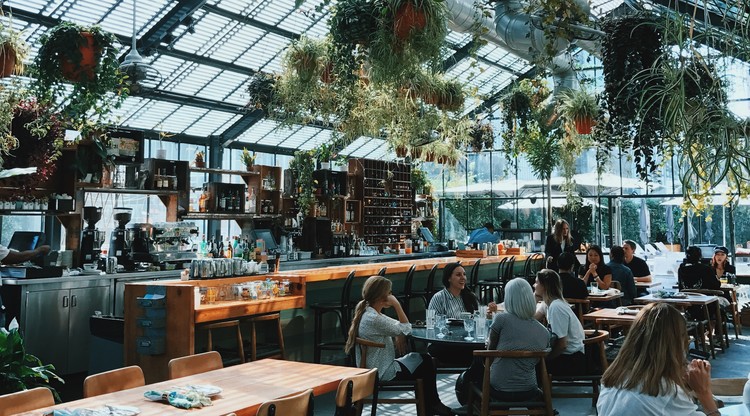 Ett växthus omgjort till café med vänner som fikar bland hängande växter