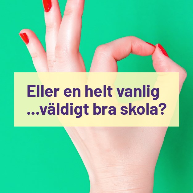 vanlig skola